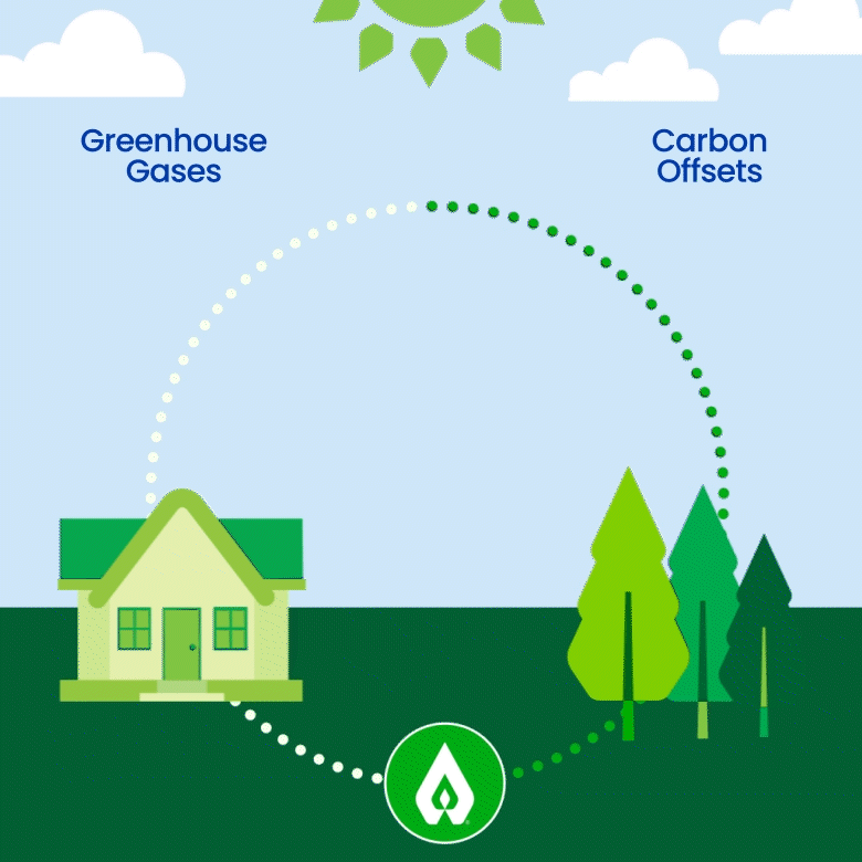 Hero image showing a family enjoying time together outdoors